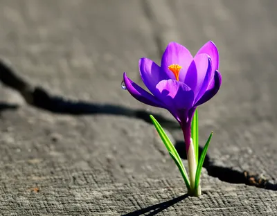 Illustration worth - Image 1