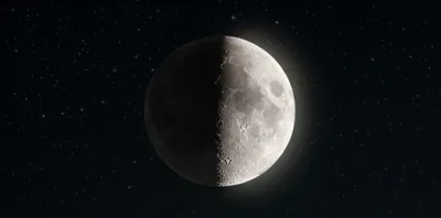 Illustration dichotomies - Image 1