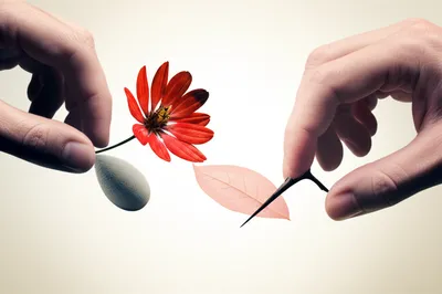 Illustration work - Image 1