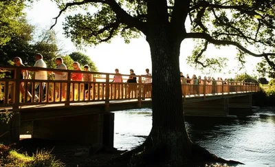 Illustration trusty - Image 1