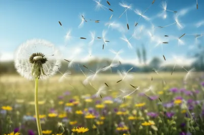 Illustration float - Image 1