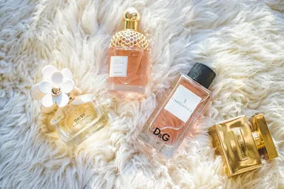Illustration parfum - Image 2
