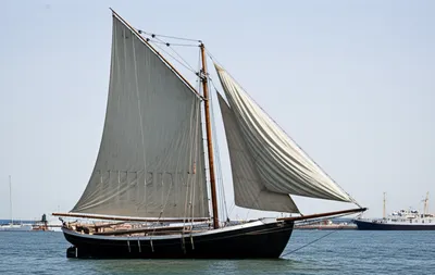 Illustration cat - Image 1