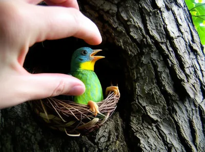 Illustration raise - Image 1