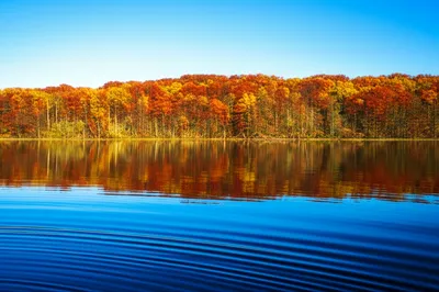 Illustration reflecting - Image 1