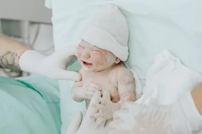 Illustration doctored - Image 2