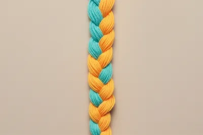 Illustration braided - Image 1