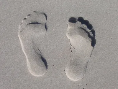 Illustration footmarks - Image 2