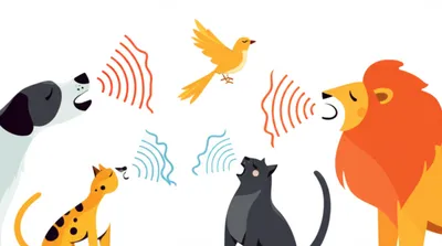 Illustration vocalise - Image 1