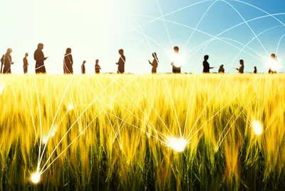 Illustration seed - Image 1