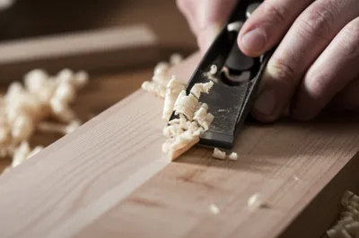 Illustration feather - Image 1