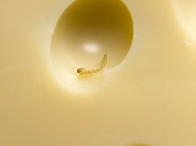 Illustration jumper - Image 1