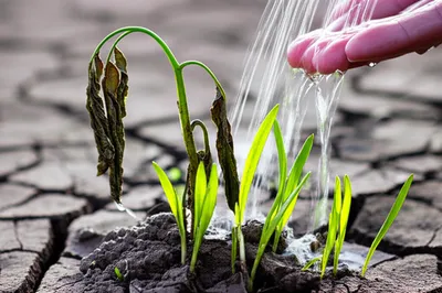 Illustration compensate