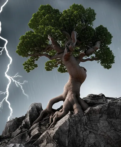 Illustration abide - Image 1