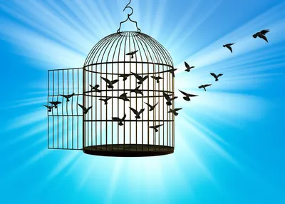 Illustration bails - Image 1