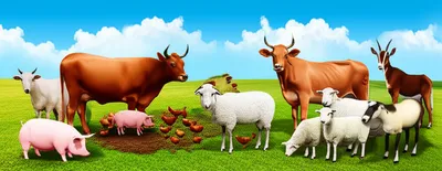 Illustration livestock