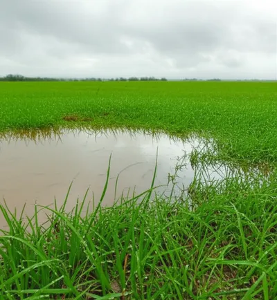 Illustration soaks - Image 1