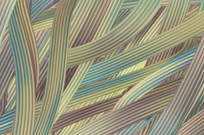 Illustration tissues - Image 1