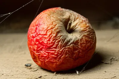 Illustration appall - Image 1