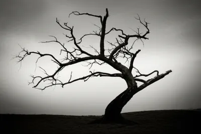 Illustration dark - Image 1