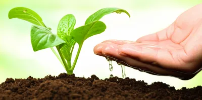 Illustration retains - Image 1