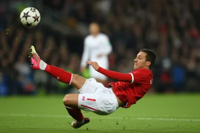 Illustration slicing - Image 1