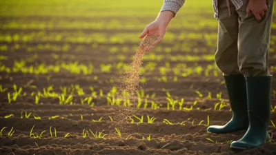 Illustration broadcasts - Image 1