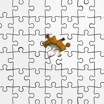 Illustration includes - Image 1