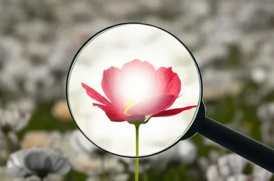 Illustration focusing