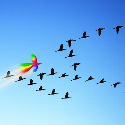 Illustration abnormal - Image 1