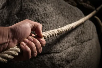 Illustration drawing - Image 1