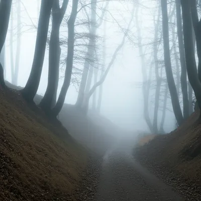 Illustration ifs - Image 1