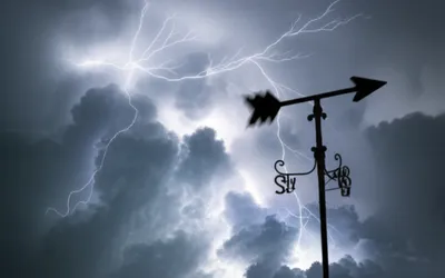 Illustration volatile - Image 1