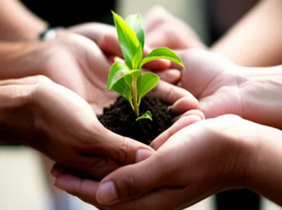 Illustration mutual - Image 1