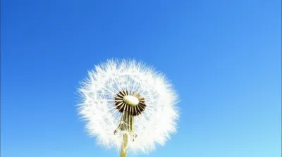 Illustration fancy - Image 1