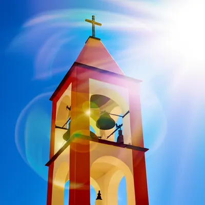 Illustration pealed - Image 1