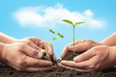 Illustration between - Image 1