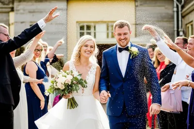 Illustration rices - Image 1