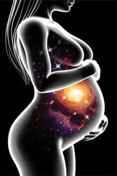 Illustration breeds - Image 1