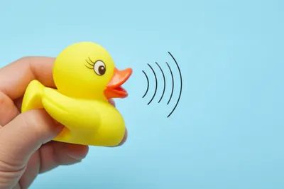 Illustration squeaking