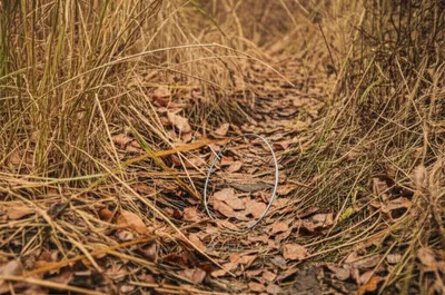 Illustration trains - Image 1