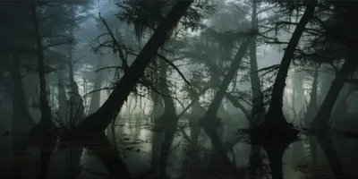 Illustration oblique - Image 1