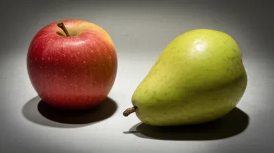 Illustration comparisons - Image 1