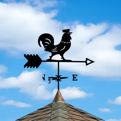 Illustration vanes - Image 1