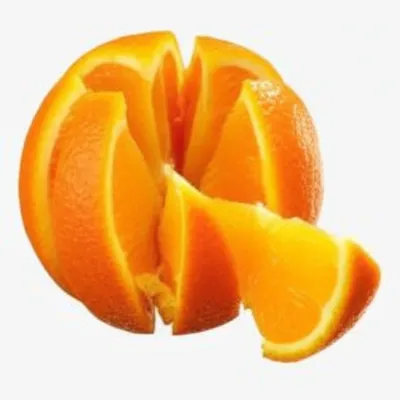 Illustration segments - Image 1