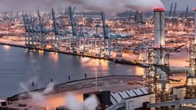 Illustration plant - Image 2