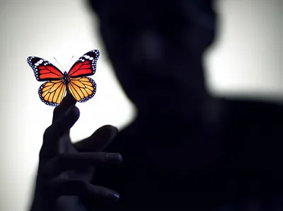 Illustration illusions - Image 1