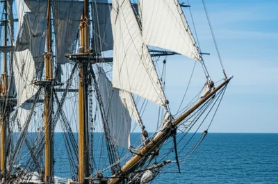 Illustration rattling - Image 1