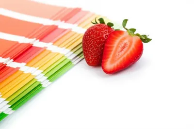 Illustration sample - Image 1