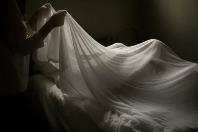 Illustration shrouds - Image 1